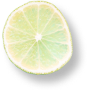 rev_h6_img3.png