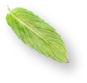 rev_h6_img6.png